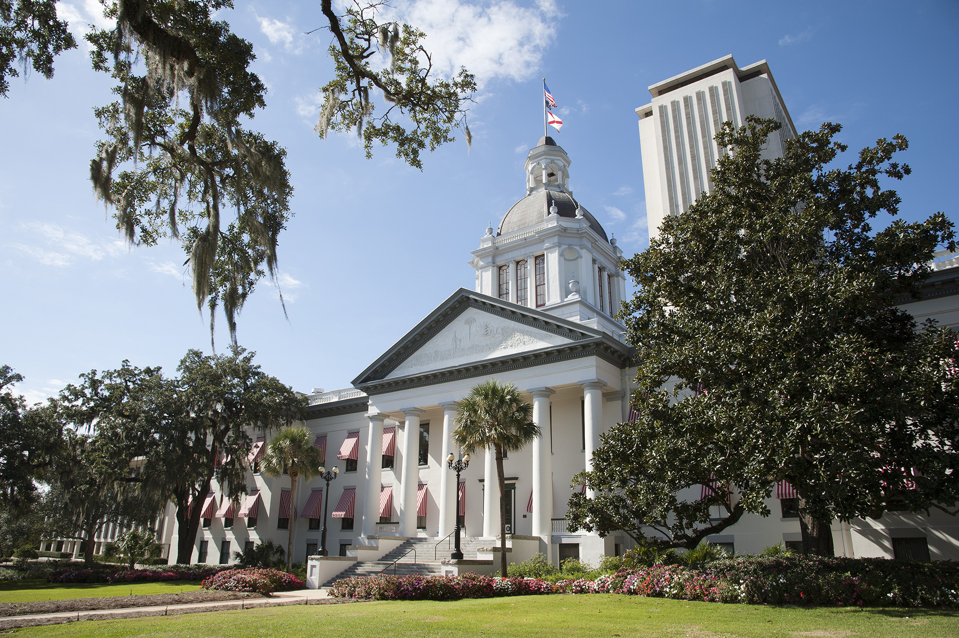 Florida Should Repeal Its CON Laws | Dan Tasset